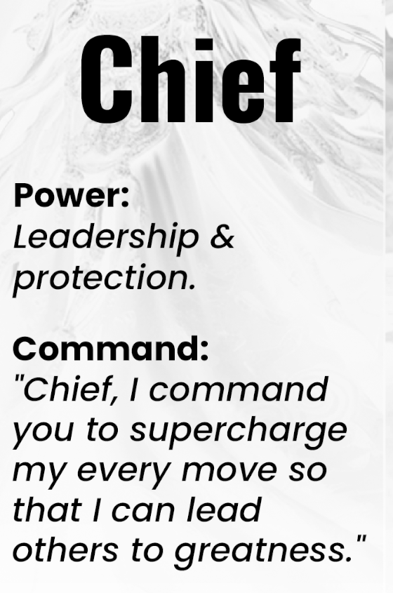 Chief — Guardian of Destiny: Leadership & Protection