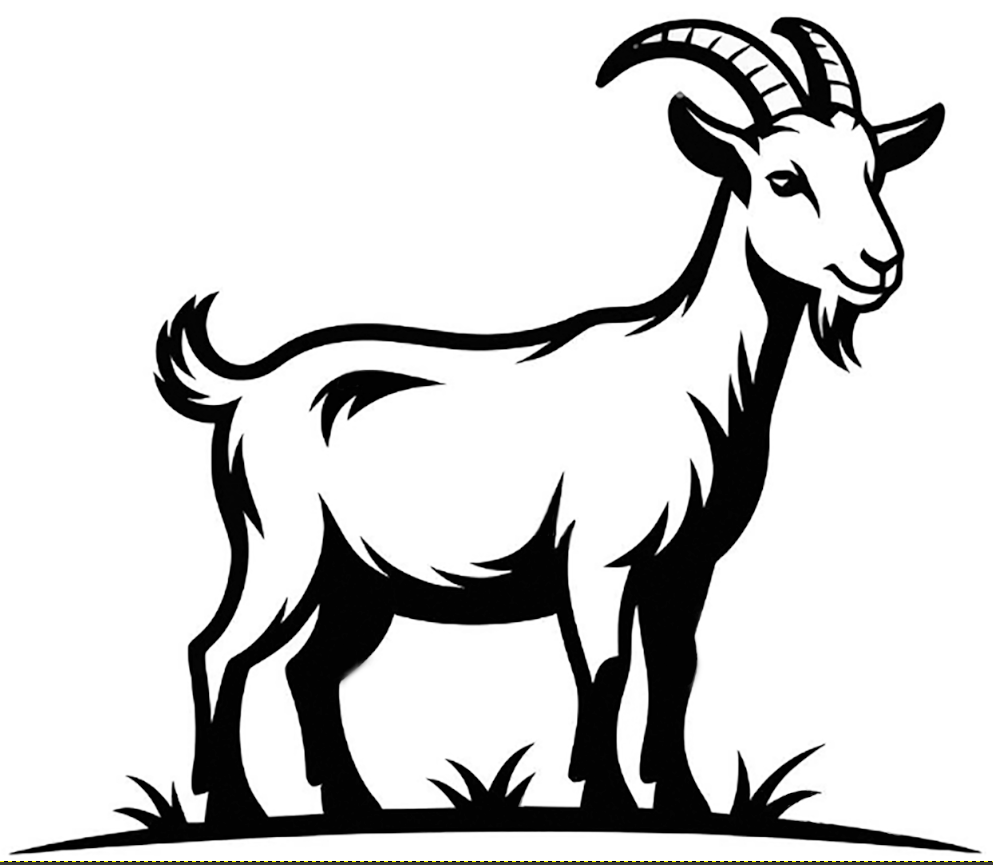 Goat / Sheep
