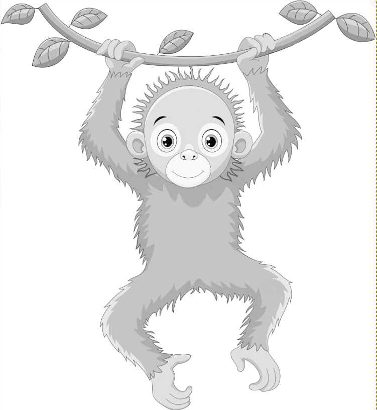Monkey
