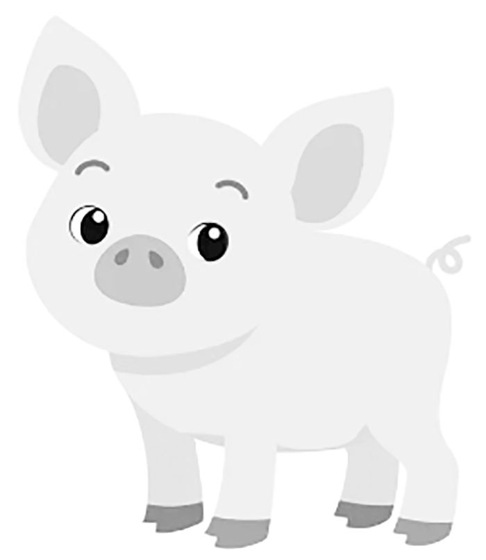 Pig / Boar